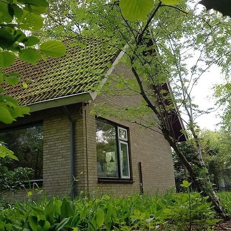 Vechtdalhuisje 17 Ommen Eksteriør bilde
