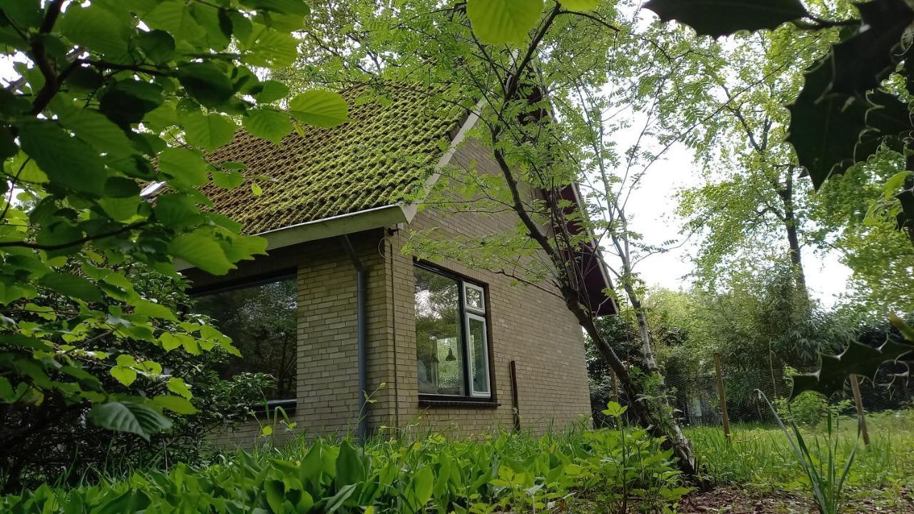 Vechtdalhuisje 17 Ommen Eksteriør bilde